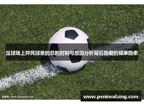 足球场上猝死球星的悲剧时刻与原因分析背后隐藏的健康隐患