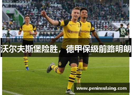 沃尔夫斯堡险胜，德甲保级前路明朗
