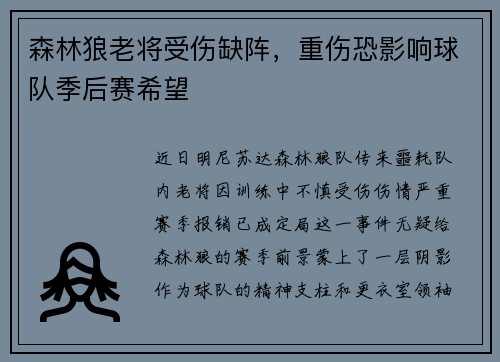 森林狼老将受伤缺阵，重伤恐影响球队季后赛希望
